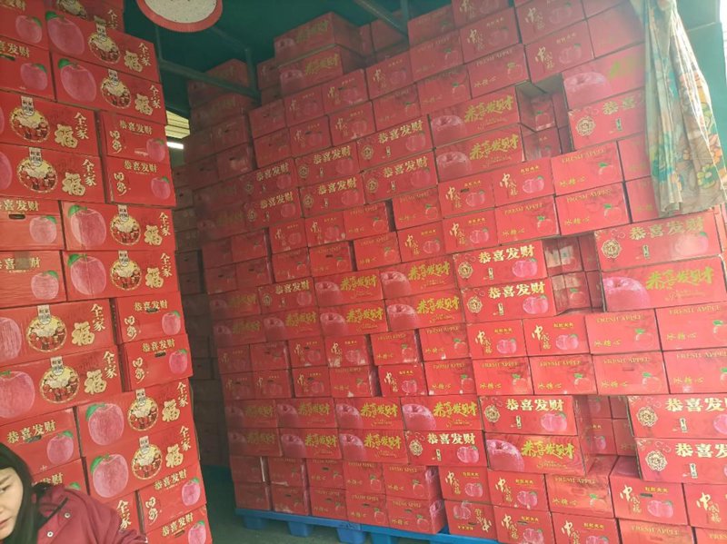 网上购物商城:潮流与便利的交汇点